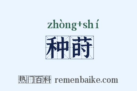 种莳是什么意思的图片